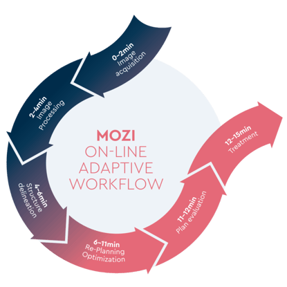 MOZI-online-adaptive-workflow_def-768x768