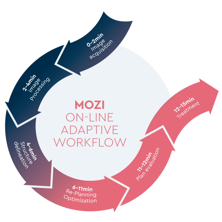 MOZI-online-adaptive-workflow_def-768x768