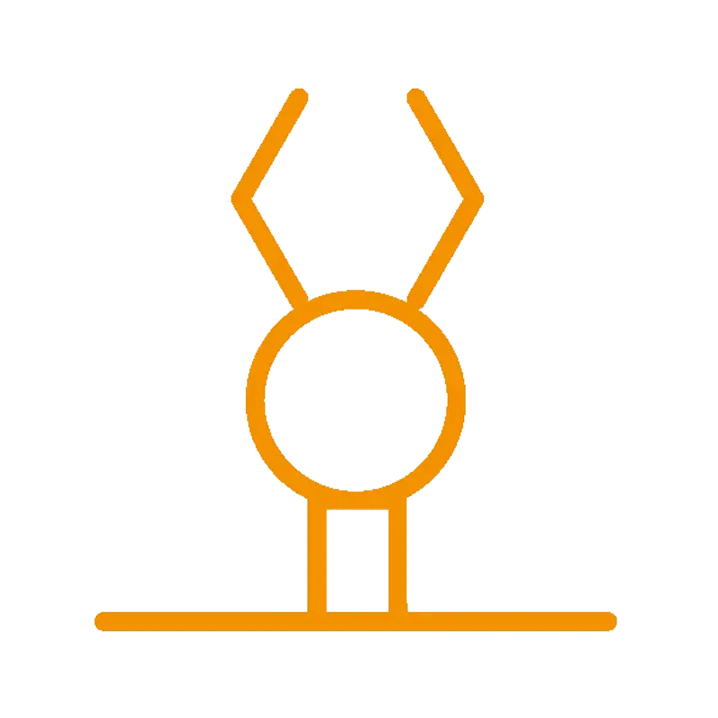 icon_automatic